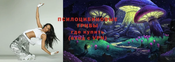 молекула духа Алзамай