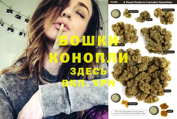 молекула духа Алзамай