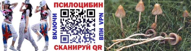 Галлюциногенные грибы Magic Shrooms  Тогучин 